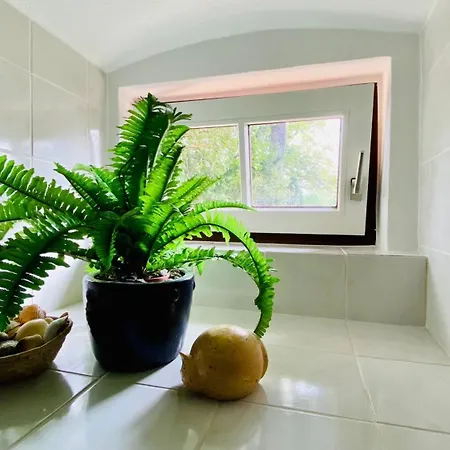 Villa Am Haussee Feldberger Seenlandschaft