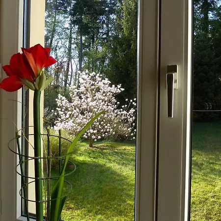 Am Haussee Feldberger Seenlandschaft