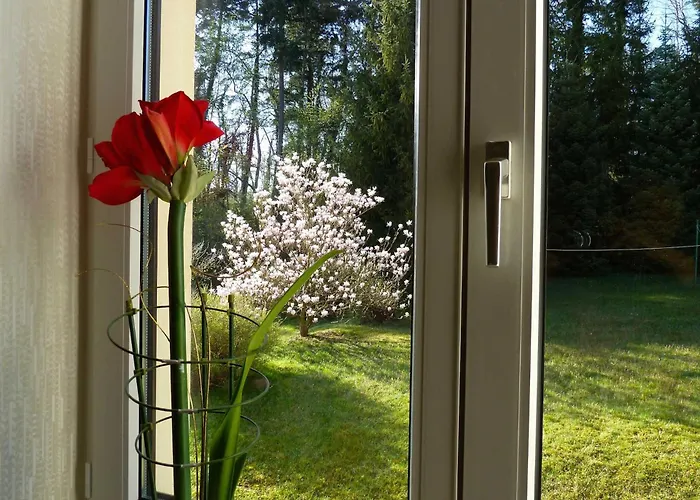 Am Haussee Feldberger Seenlandschaft